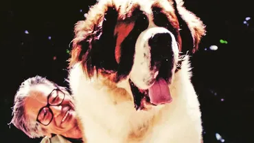 ムツゴロウさん、動物と人との絆を振り返る〜番組秘話から晩年まで、その生き様とは？畑正憲さん（ムツゴロウ）逝去。動物と心を通わせた21年間