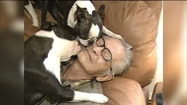 ムツゴロウさん死去】猛獣ともふれあう動物愛 プロデューサー ...