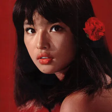中村晃子の音楽、動画、統計および写真