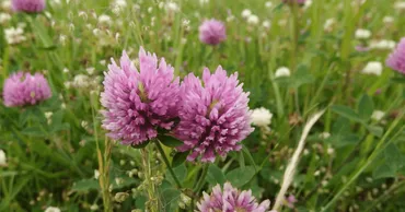 創作大賞2025 作者様&作品一覧 【エッセイ部門②】