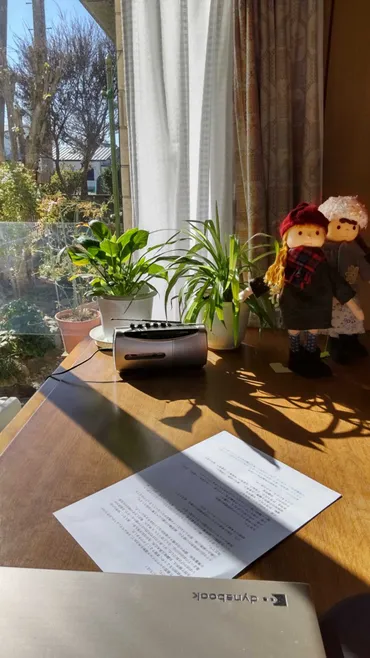 三浦暁子の多才な世界：エッセイ、家族、そして曽野綾子との絆とは？三浦暁子、作家、家族、そして多岐にわたる活動