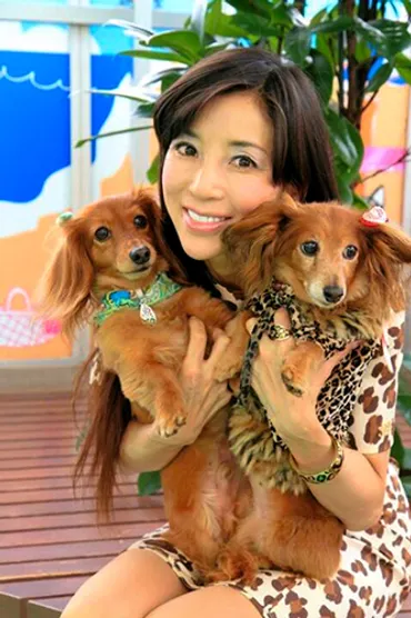 川島なお美さんの愛したワインをもとに、動物愛護基金を設立