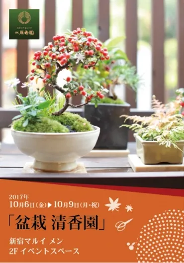新宿マルイ メンにて、盆栽「清香園」ワークショップ・展示販売を開催! 企業リリース
