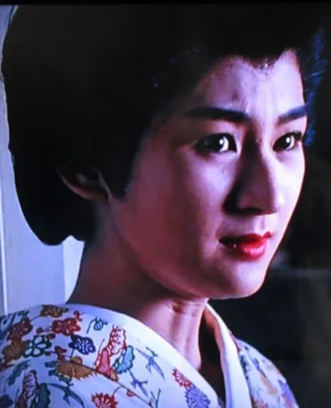 続・暴れん坊将軍の魅力再発見（出演女優編）: SUZUの気ままにブログ三昧