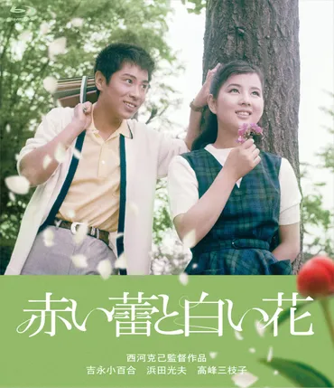 吉永小百合 日活デビュー65周年記念！吉永小百合＆浜田光夫『純愛ブルーレイボックス』が2024年6月5日に発売決定！ 