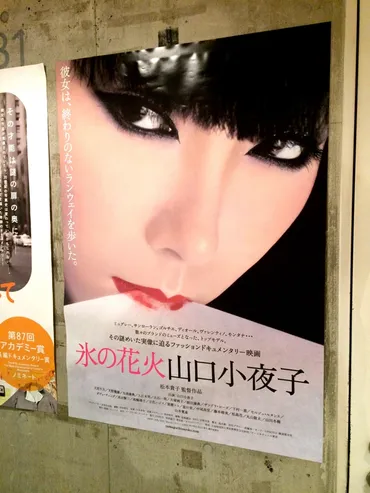 美しいことは苦しいこと 映画「氷の花火 山口小夜子」 