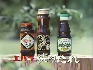 エバラ焼肉ののたれcm mp3