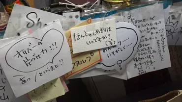 歳のイラストレーター・田村セツコさんが語る「人生を前向きに生きるコツ」とは?世界が明るく見えてくる書籍『人生はごちそう』