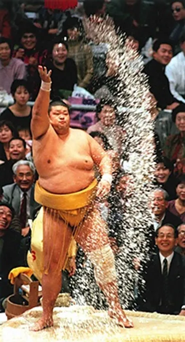 大相撲いぶし銀列伝