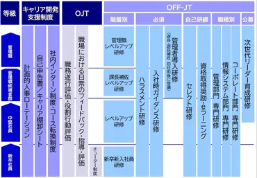 人材育成体系・CDP構築 
