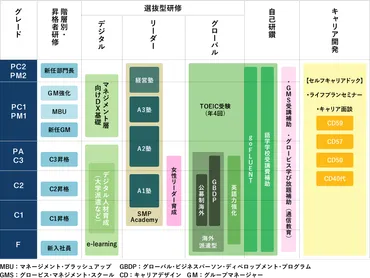 人材育成プログラム 