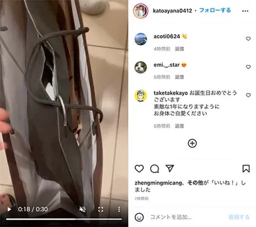 加藤綾菜、加トちゃんからのバースデーサプライズに大興奮 「高かった？」「高かったです」とほっこりな会話も（1/2） 