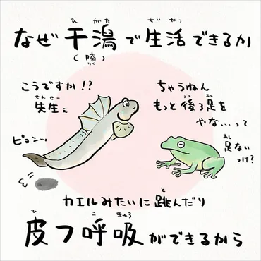 陸で呼吸できるさかな!ムツゴロウ