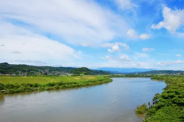 新川和江「わたしを束ねないで」― この美しくて大きな詩が ...