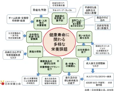 日本健康運動研究所
